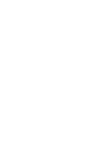 alpaca no background white